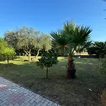 Restorant Niku 4*
