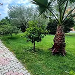 Restorant Niku Shetaj