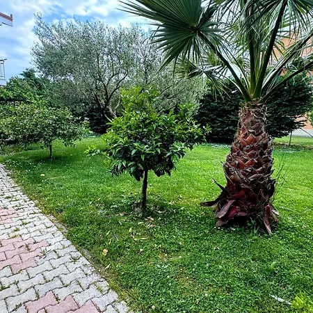 Restorant Niku Shetaj